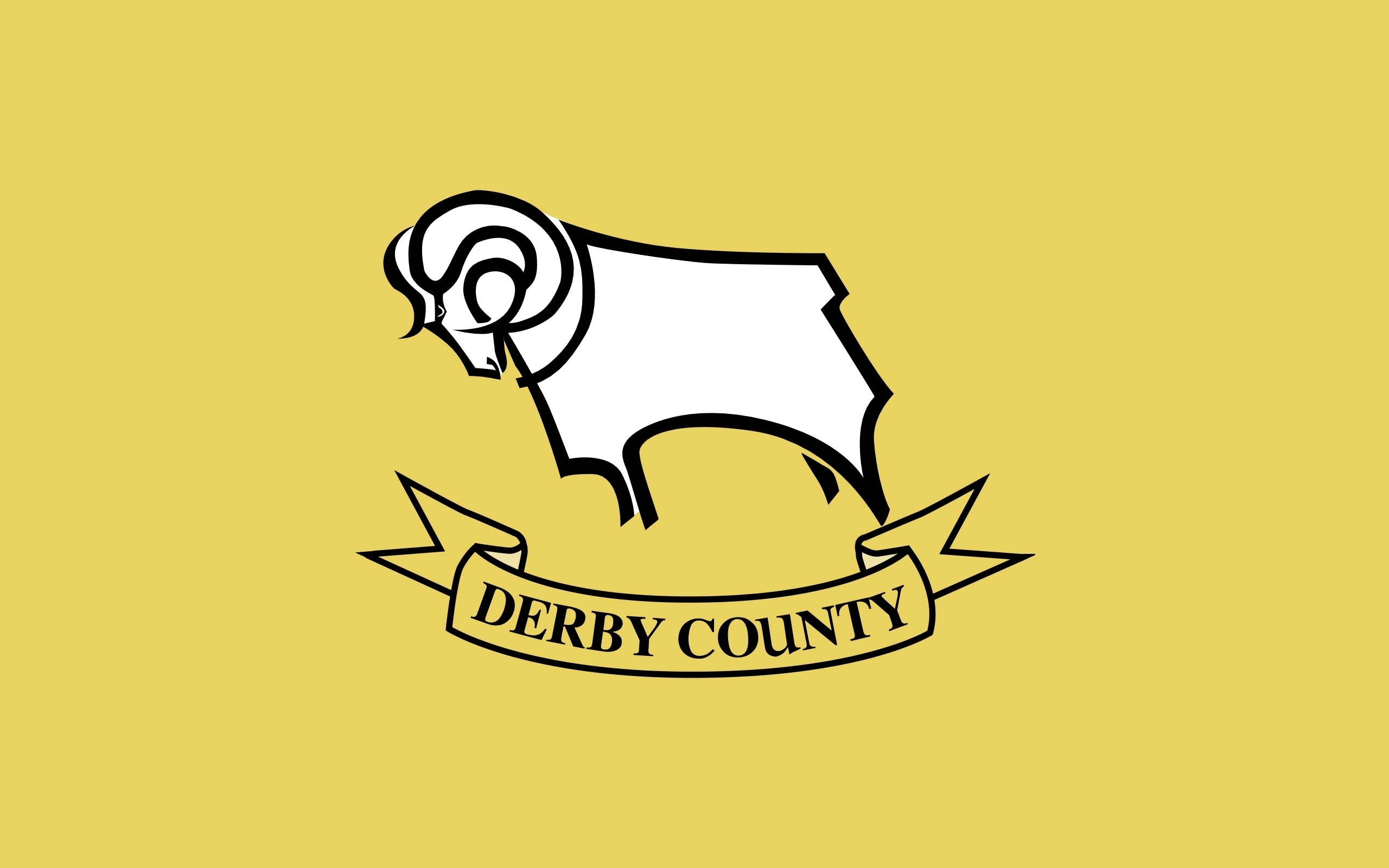 Derby County Primary logo t shirt iron on transfers